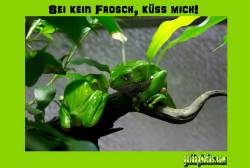 lustige Bilder für die Liebe
