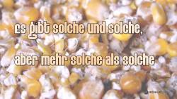 lustiger Spruch Solche