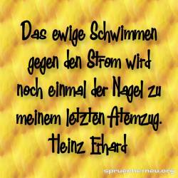 lustiger Spruch Schwimmen Strom